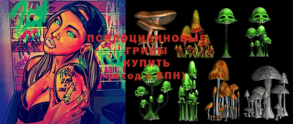 молекула духа Дмитриев