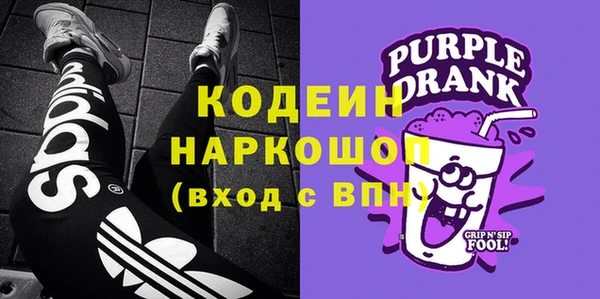 молекула духа Дмитриев